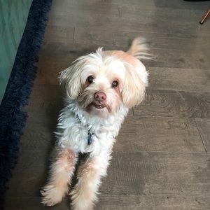 Meet your Posher, Francine